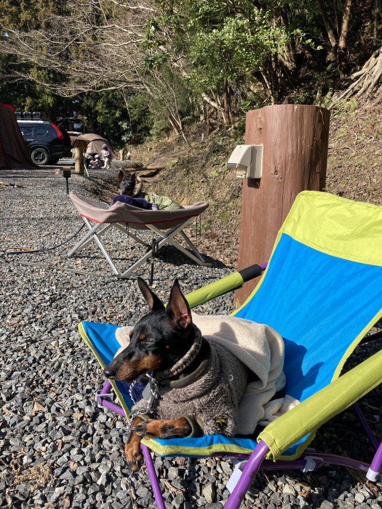 3月はお友達ワンコとキャンプしてきたよ🏕🐕🐾