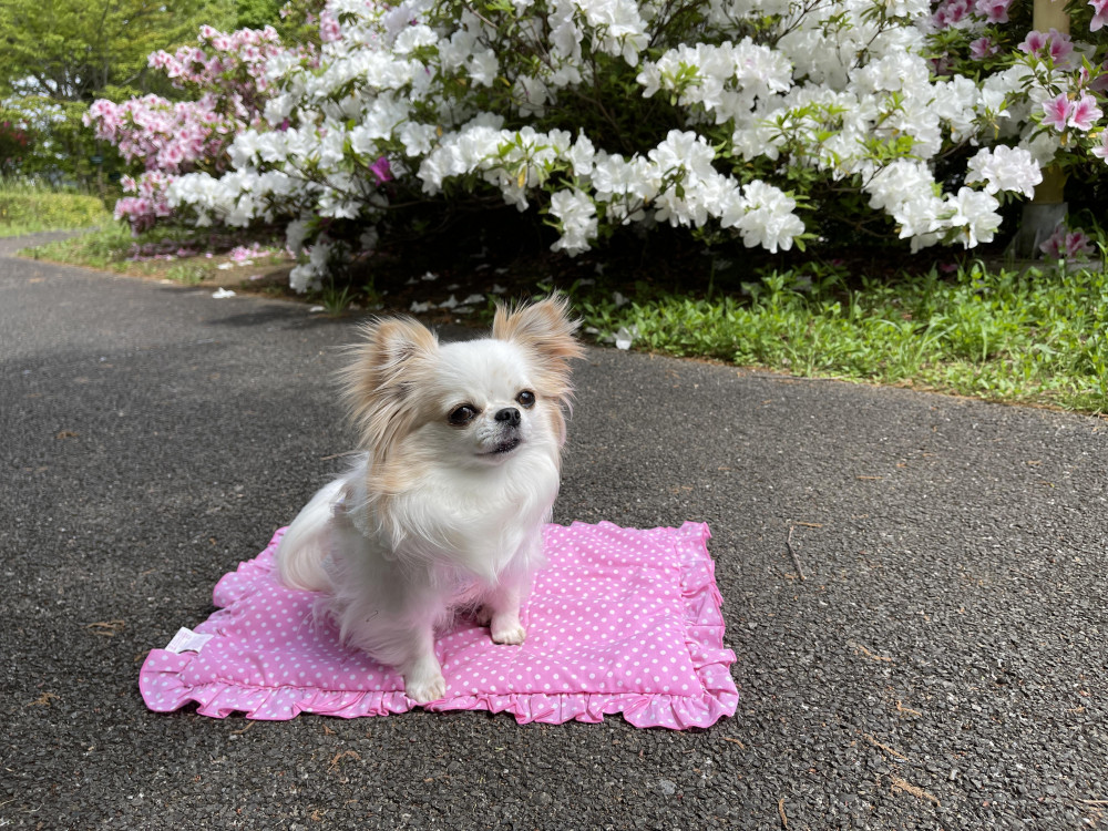 公園でお散歩🐾