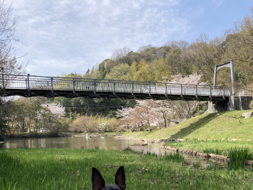 4月のキャンプは岡山まで遠征してきたよ🏕