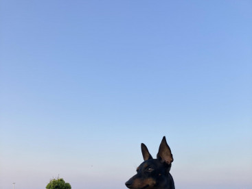 暑い日でも、海は風が吹いてるから涼しくて気持ちがいいな〰️😊