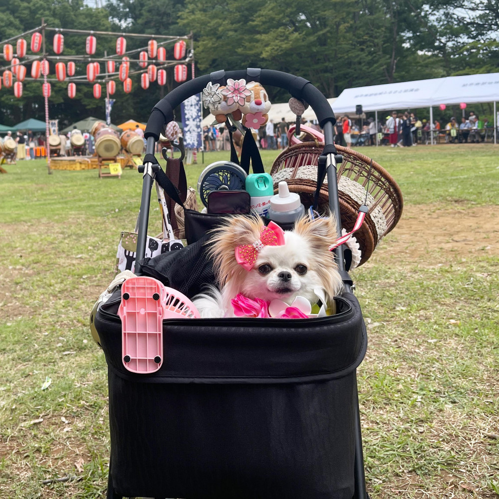 夏祭り😊🙌🙌🙌