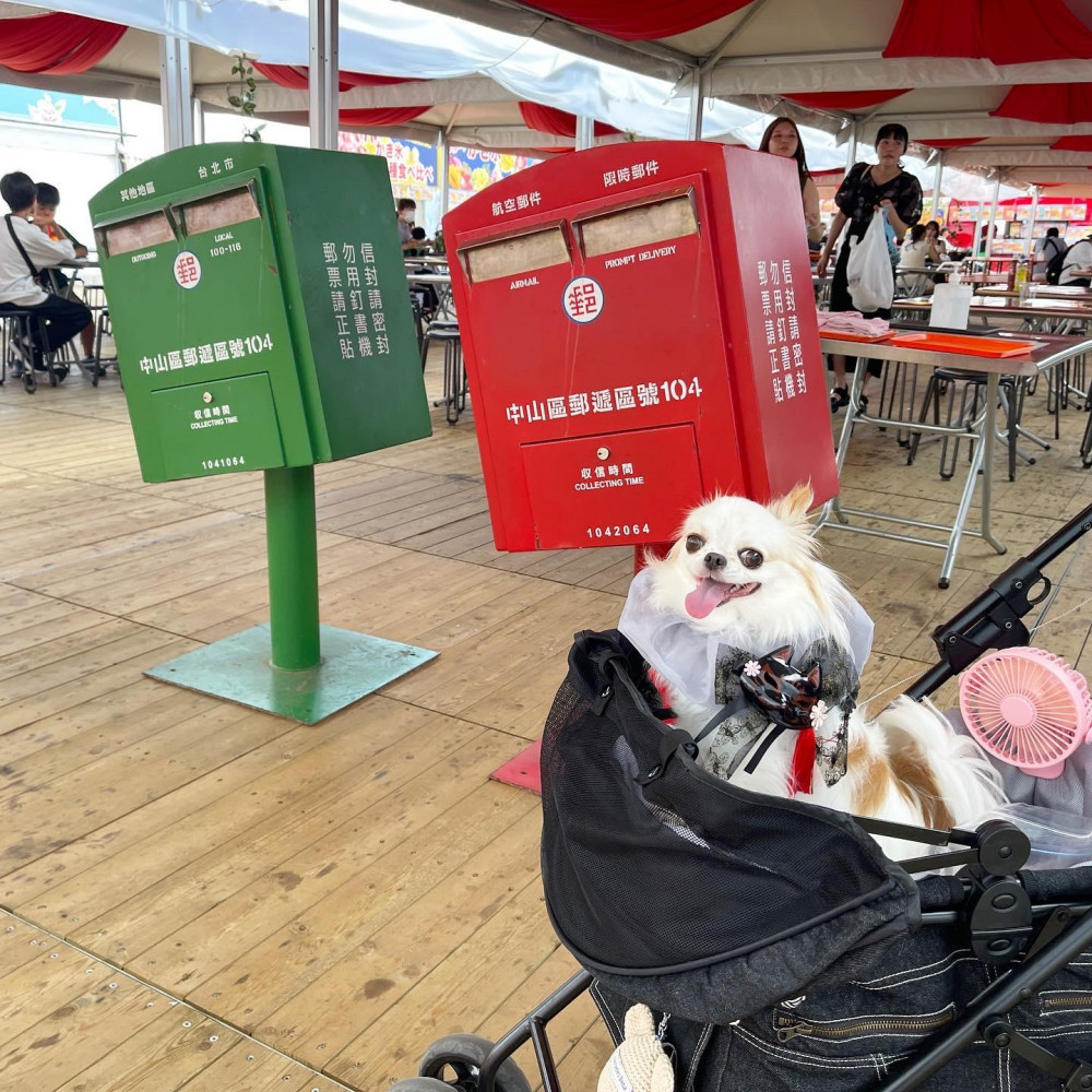 台湾祭り🇹🇼