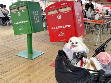 台湾祭り🇹🇼