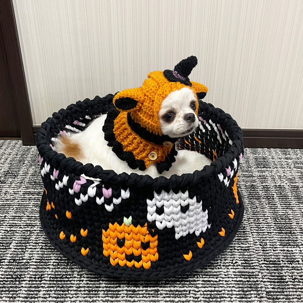 ハロウィン🎃👻