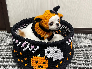 ハロウィン🎃👻