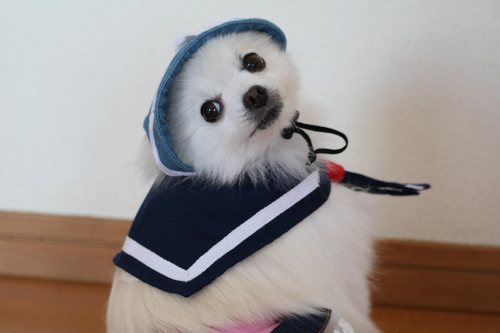 見てるだけ～…っぽいケド、 しっかり！立派な！振り向き☆ポーズ☆でっす(^_-)ー☆
