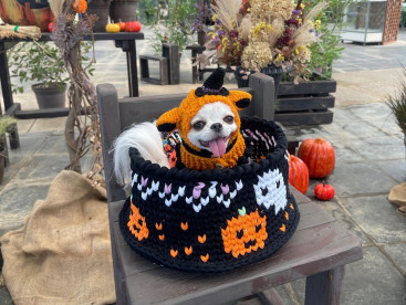 ハロウィン🎃👻