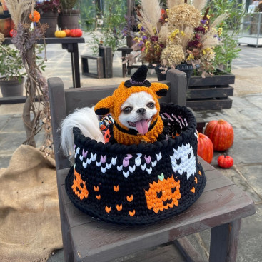 ハロウィン🎃👻