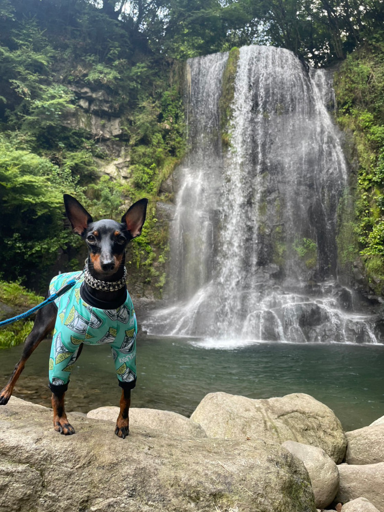 8月🏞涼しい川でキャンプしてきたよ！
水が苦手だから泳がないけどね😅