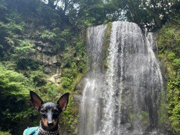 8月🏞涼しい川でキャンプしてきたよ！
水が苦手だから泳がないけどね😅