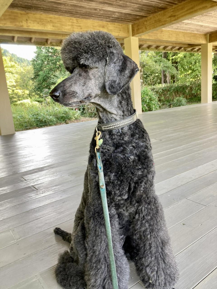 恩賜箱根公園で小休止