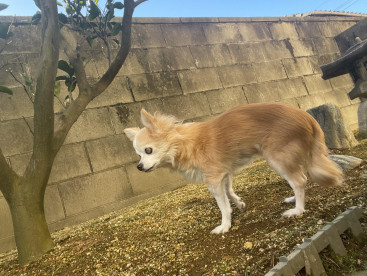 ぽかぽか土の感触☺️🐾