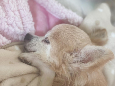 可愛くおねんね🤤おやすみなさい😴