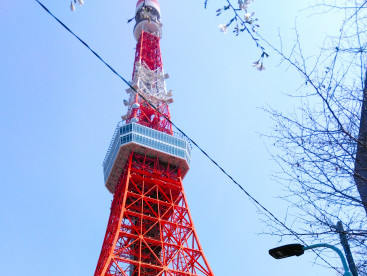お上りさん　　
東京タワーを見てきまちたぁ～(*^-^*)
