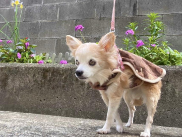 よーいしょ🐾よーいしょ🐾