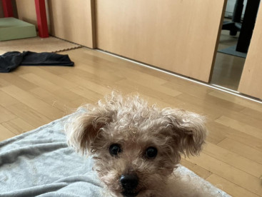 あけましておめでとうございます。
エル君です。❤️🩷❤️🩷❤️🩷