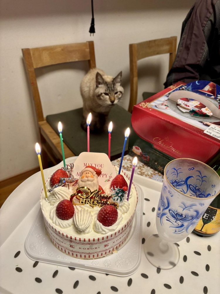 明けましておめでとう御座います🎉
クリスマスケーキを前にしての華ちゃんでーす🩷❤️🩷❤️🩷❤️