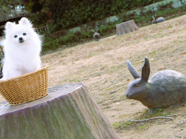 公園にウサギさん🐰が いまちたの(*^-^*) 　
可愛いのなのなの💕