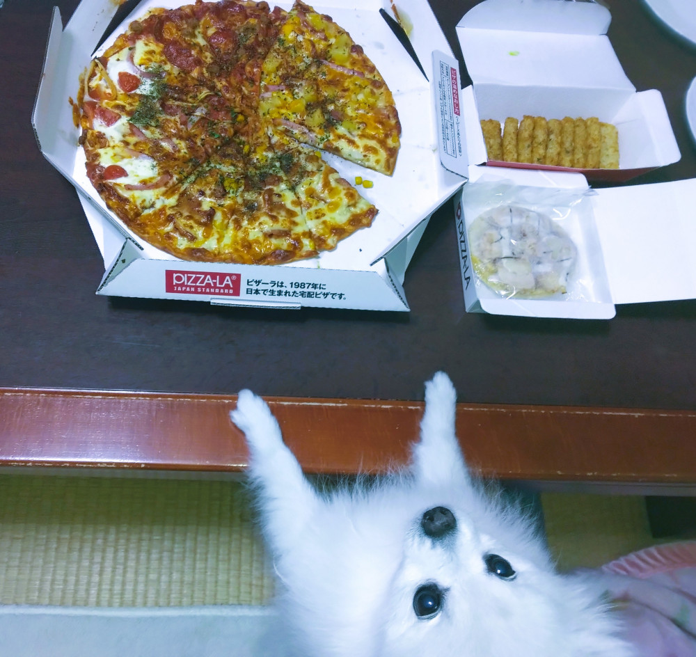 わんこ用ピザ🍕  嬉ぴ😋