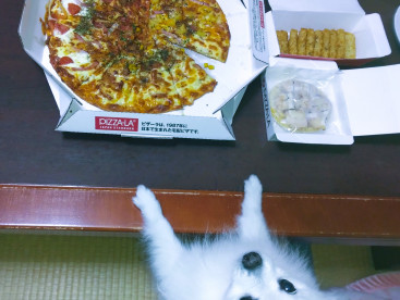わんこ用ピザ🍕  嬉ぴ😋