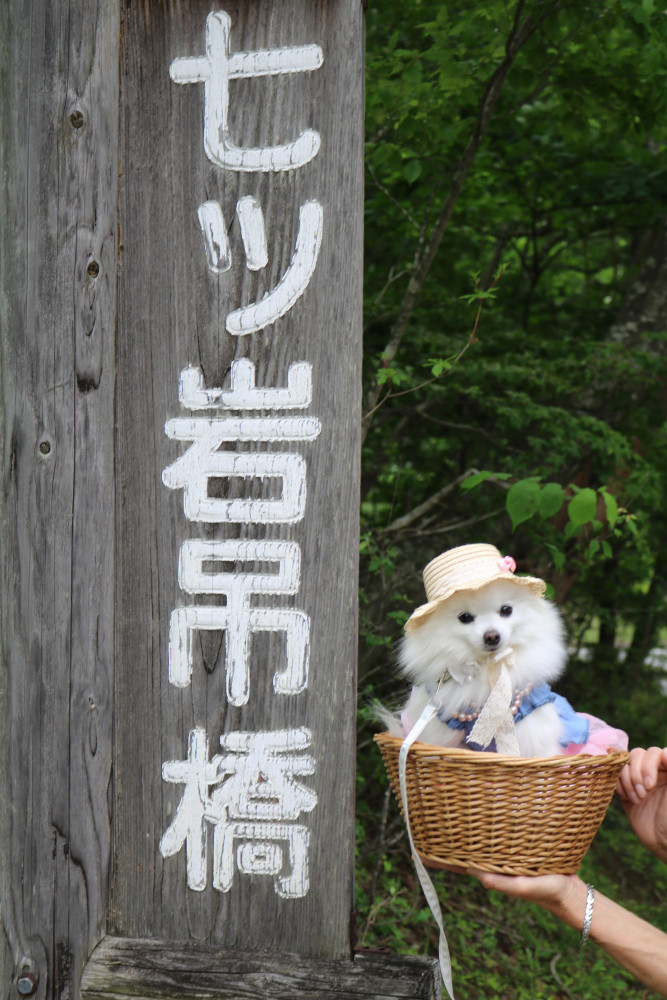 七つ岩吊橋
行ってきたのなのなの。
める×２は 吊橋 苦手のなのなの(^-^;