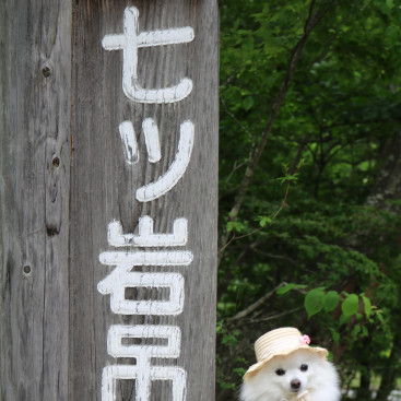 七つ岩吊橋
行ってきたのなのなの。
める×２は 吊橋 苦手のなのなの(^-^;