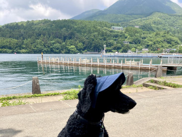 避暑地で散歩