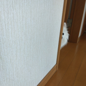 毎日…
誰かに見られているよぅな…
（by ママ）