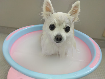 お風呂ジャブジャブ🛀 
温泉気分♨ 
気持ちいいね♡