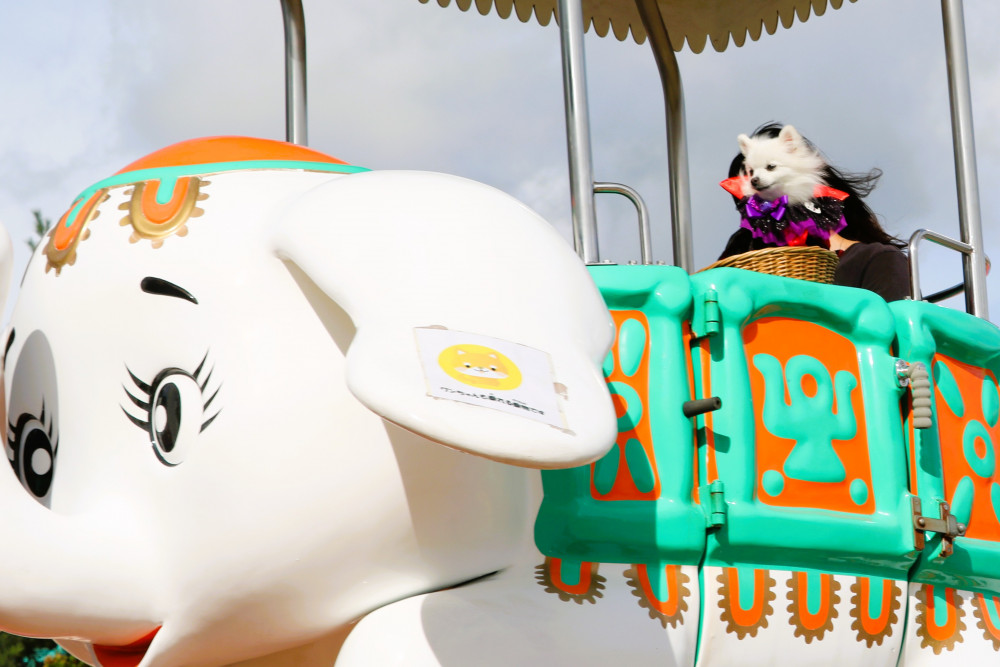 秋の遊園地で遊んできまちた🎡