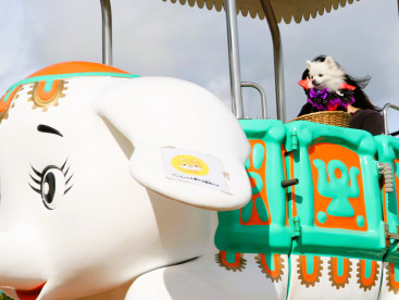 秋の遊園地で遊んできまちた🎡