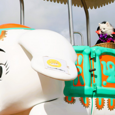 秋の遊園地で遊んできまちた🎡