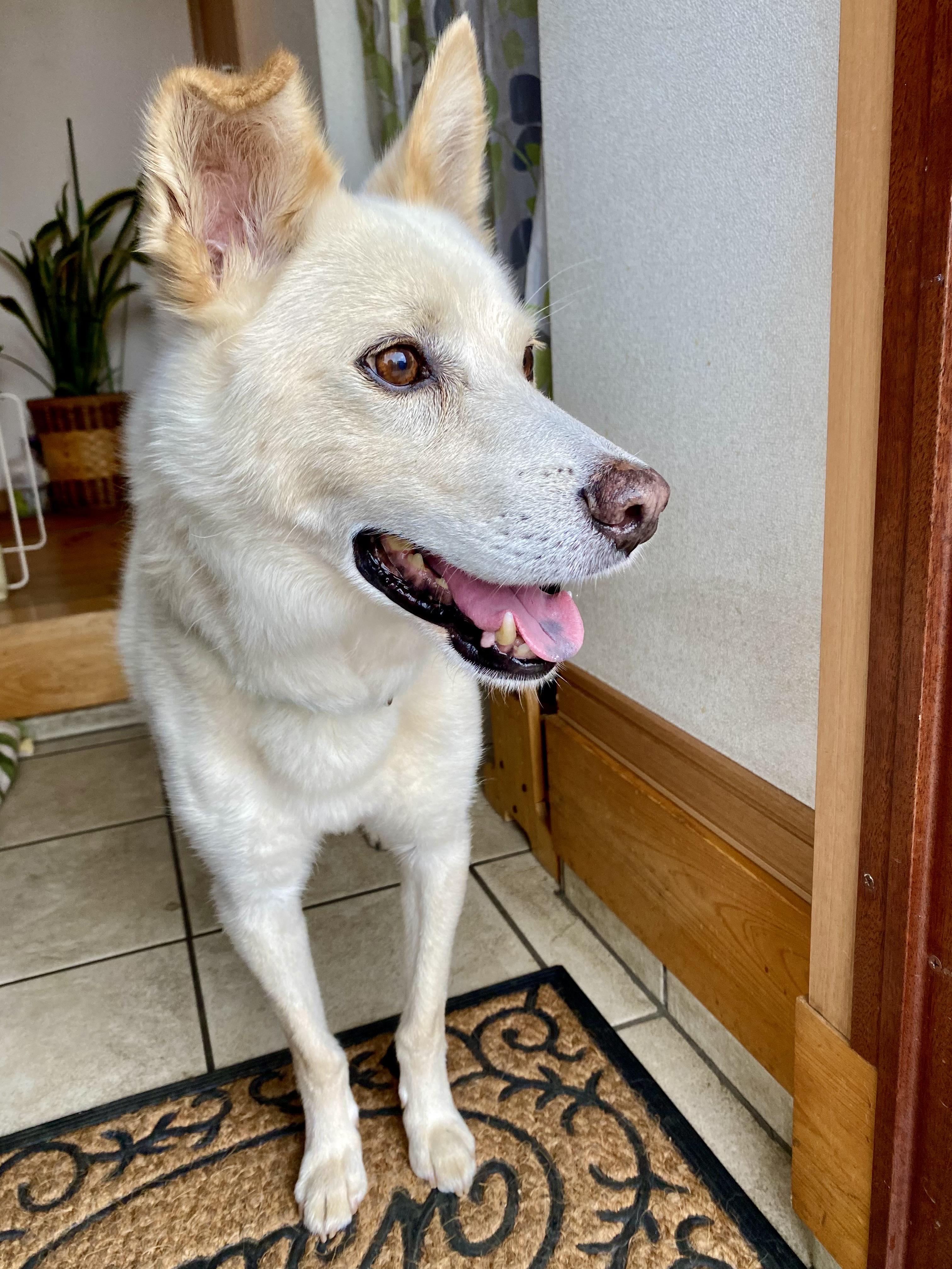 僕の笑顔素敵でしょ？