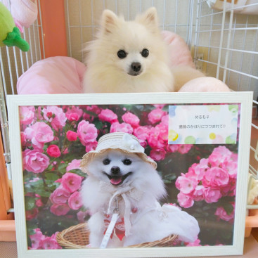 める×２
suminoie様のカレンダーで
9月を担当のなのなの💕