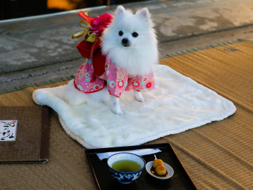 あけまちて おめでとうございまちゅ🎍
本年もよろちくお願いいたちまちゅ♡