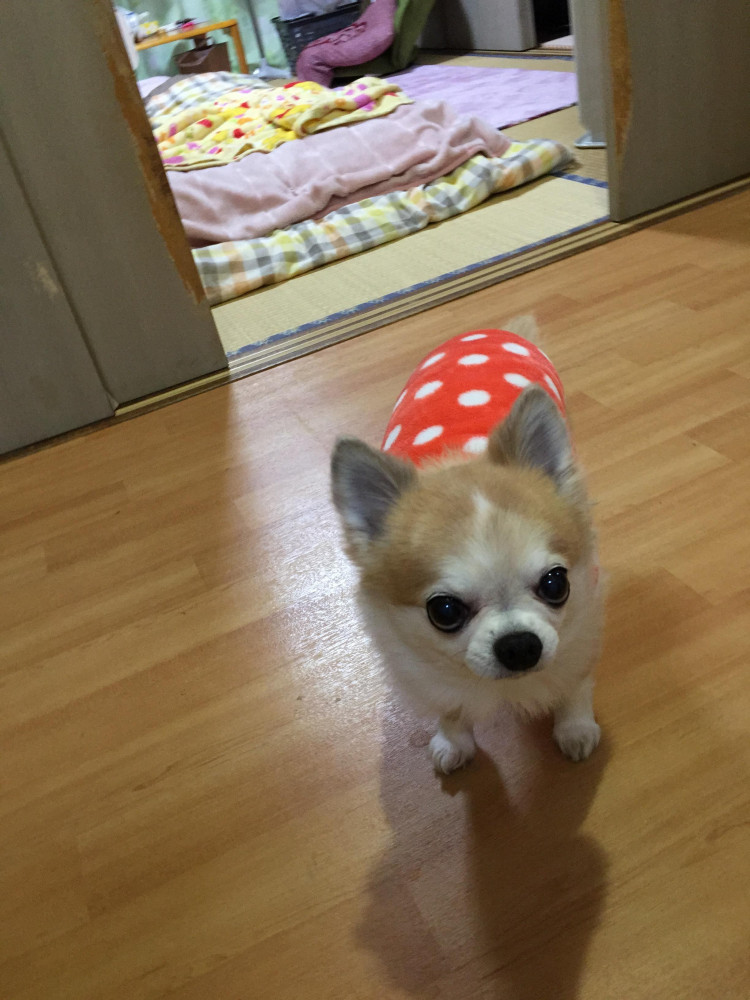 明けましておめでとう御座います。今年も宜しくお願いします。
いらっしゃい🤗待っていたよ