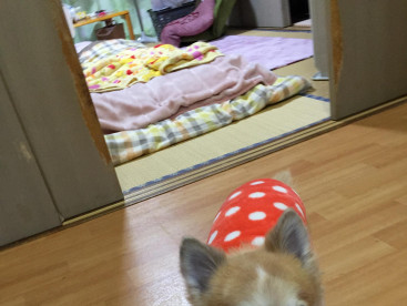 明けましておめでとう御座います。今年も宜しくお願いします。
いらっしゃい🤗待っていたよ