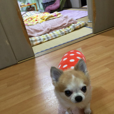 明けましておめでとう御座います。今年も宜しくお願いします。
いらっしゃい🤗待っていたよ