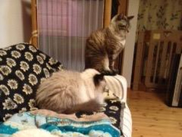 皆んなでねんねしてます。