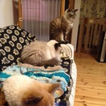 皆んなでねんねしてます。