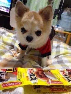 こんなに一杯あるよ。僕の好きなおやつ🐶