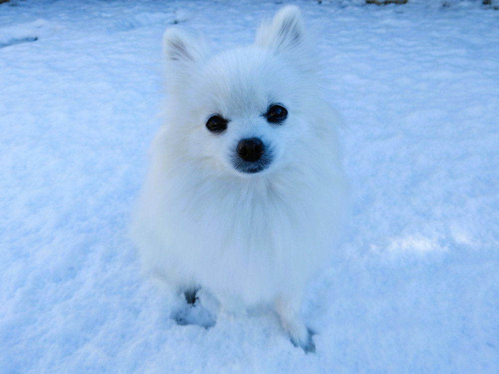 雪の中 ポンって降ろされた(T_T)