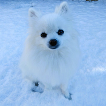 雪の中 ポンって降ろされた(T_T)