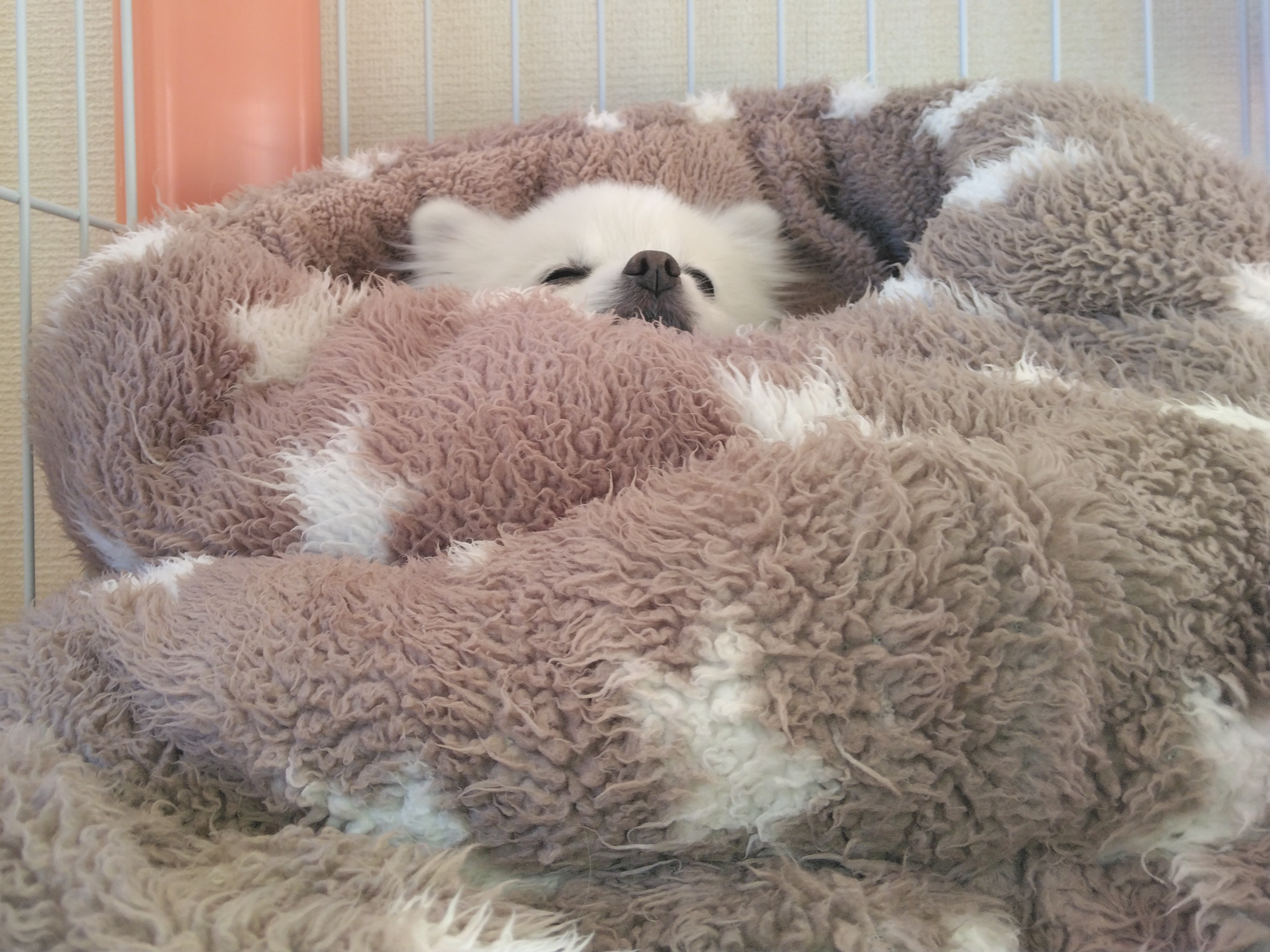 めるもの 日常…(^^;)