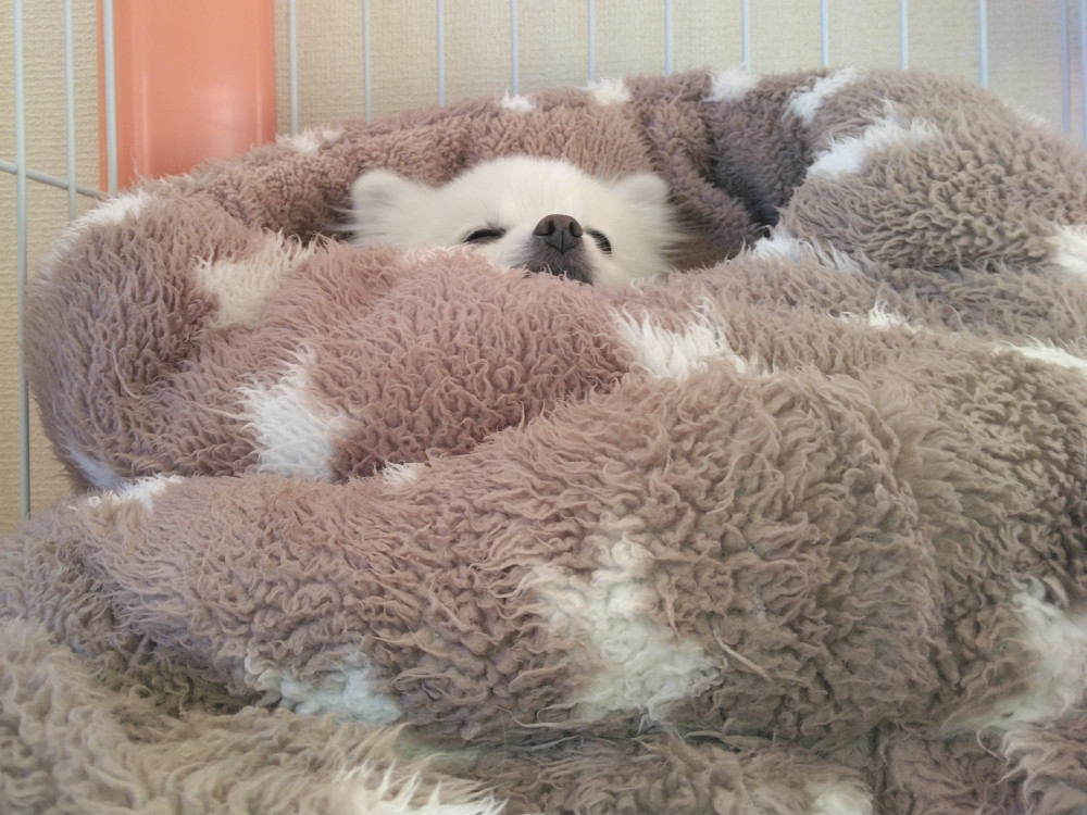 めるもの 日常…(^^;)