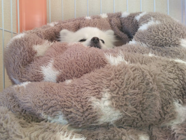 めるもの 日常…(^^;)