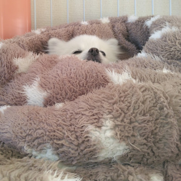 めるもの 日常…(^^;)