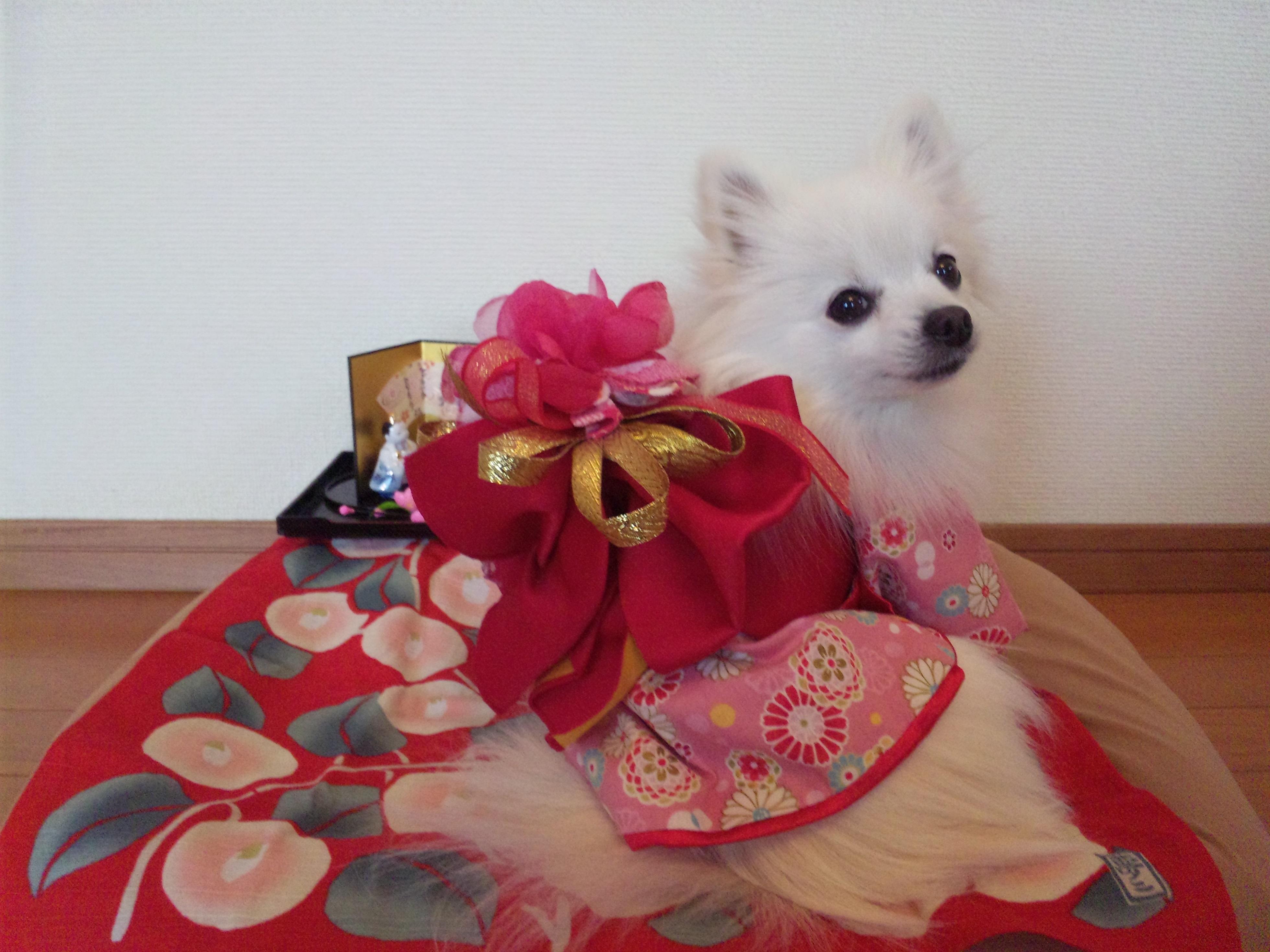 今日は めるもも ひな祭り🎎