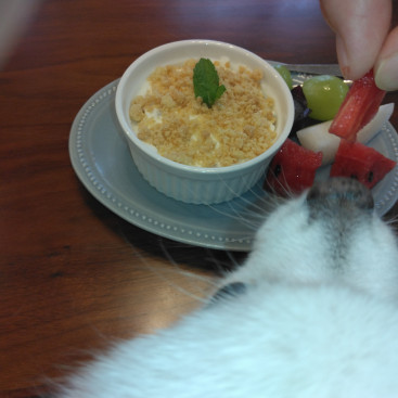 ドッグカフェ🐶  
ママのデザートの ちゅいか(スイカ)🍉 
いただきまちたぁ～(*^▽^*)