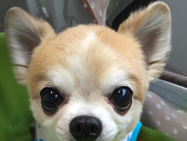 おはようございます。むーちゃんだよ🍀🌈🍀🌈🍀🌈🍀